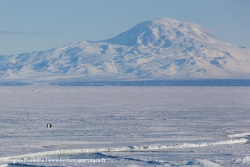 Banquise, Mont Discovery and manchots empereurs / Mount Discovery, sea ice and Emperor Penguins