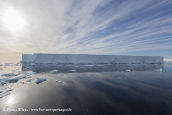 Iceberg tabulaire