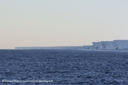 Ice shelf de Ross