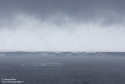 Ice-shelf de Ross