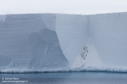 Ice-shelf de Ross