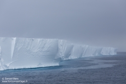 Ice-shelf de Ross