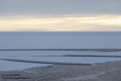 Banquise en disclocation / Break up of the sea ice