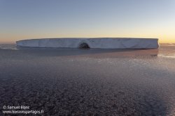 Crêpes de glace ou pancakes