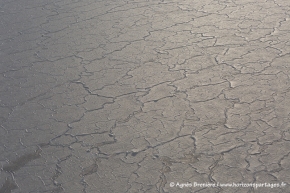 Banquise en formation / Sea ice forming