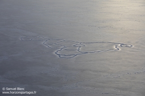 Banquise en formation / Sea ice forming