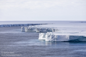 Ice-shelf de Ross / Ross Ice-shelf
