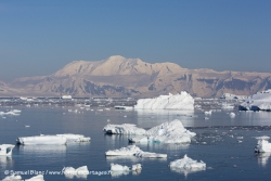 Iceberg et Mont Français