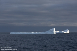 Iceberg