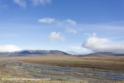 Ile Wrangel / Wrangel Island