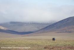 Ile Wrangel / Wrangel Island