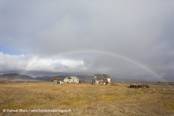 Ile Wrangel / Wrangel Island