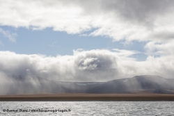 Ile Wrangel / Wrangel Island