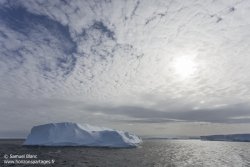 Banquise / Sea ice