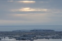 Glaces dérivantes