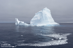 Iceberg