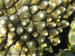 20130326_110549