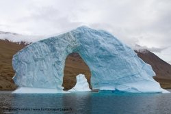 Iceberg