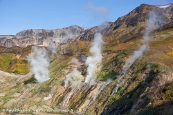 Vallée des Geysers