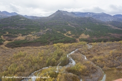 Taïga et rivière / Taïga and river