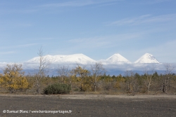 -SamueVolvans Klyuchevskoy et Kamen / Klyuchevskoy and Kamen volcanoesl_Blanc-20150924_152608