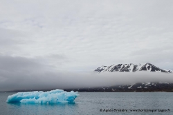 Paysage et iceberg / Landscape and iceberg