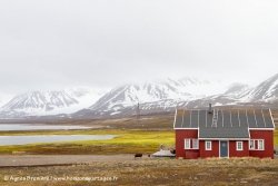 Ny-Alesund