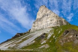 Paysage / Landscape