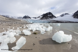 Glace échouée à marée basse