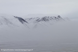 Paysage
