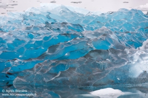 Glace / Ice Glace / Ice