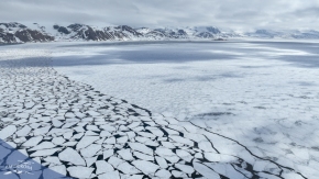 Banquise / Sea ice