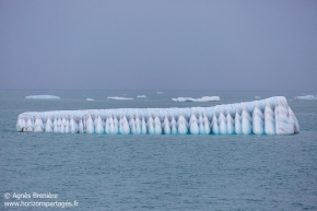 Iceberg Iceberg