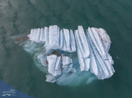 Iceberg Iceberg