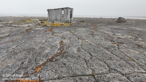 Cabane / Hut
