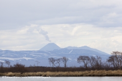 Volcan
