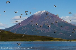 Lac Kuril