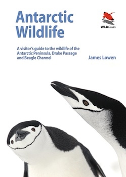 Antarctic Wildlife, 2011