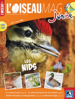L'oiseau magazine Junior, 2014