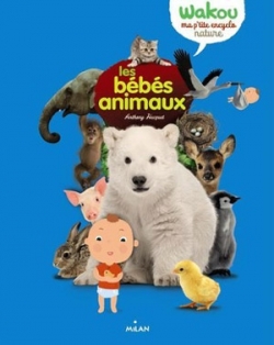 Wakou, les bébés animaux - Milan, 2014