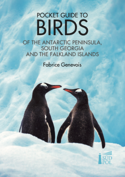 Pocket guide to birds of the Antarctic peninsula, South Georgia and the Falkland Islands - 2021