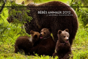 Calendrier bébés animaux, 2012