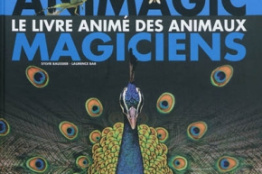 Animagic, le livre animé des animaux magiciens - Milan, 2011
