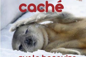Coucou caché - Le Sablier Editions, 2013