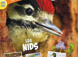 L'oiseau magazine Junior, 2014