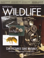 National Wildlife Magazine - 2016