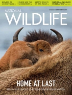 National Wildlife Magazine - 2017