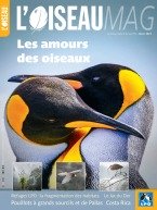 L'oiseau magazine 145 2021