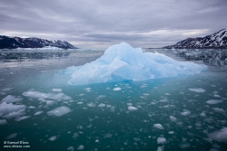 Iceberg devant le glacier de Monaco / Iceberg in front of Monaco Glacier