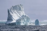 Iceberg au large de la Géorgie du Sud